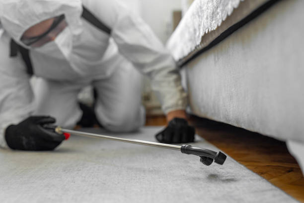 Professional Termite Control technician working in Washburn, WI