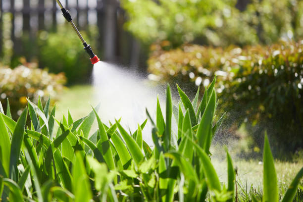 24/7 Emergency Termite Control experts in Washburn, WI