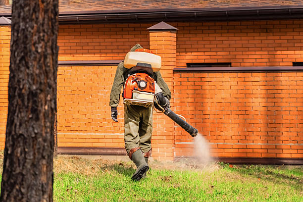 Top rated local Termite Control specialists in Washburn, WI